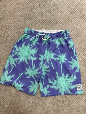 abercrombie kids Purple Swim Shorts with Mint Palm Accent